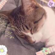 ヒメ日記 2025/03/30 12:09 投稿 桜井　みずき 熟女パラダイス甲府店（カサブランカグループ）