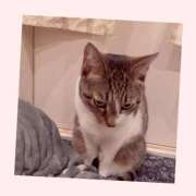 ヒメ日記 2025/05/04 08:55 投稿 桜井　みずき 熟女パラダイス甲府店（カサブランカグループ）