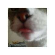 ヒメ日記 2025/05/04 16:47 投稿 桜井　みずき 熟女パラダイス甲府店（カサブランカグループ）