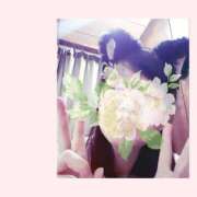 ヒメ日記 2025/05/12 08:57 投稿 桜井　みずき 熟女パラダイス甲府店（カサブランカグループ）