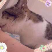 ヒメ日記 2025/06/02 16:25 投稿 桜井　みずき 熟女パラダイス甲府店（カサブランカグループ）