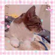 ヒメ日記 2025/06/04 08:15 投稿 桜井　みずき 熟女パラダイス甲府店（カサブランカグループ）