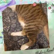 ヒメ日記 2025/06/10 07:37 投稿 桜井　みずき 熟女パラダイス甲府店（カサブランカグループ）