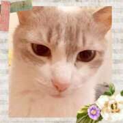 ヒメ日記 2025/06/12 16:17 投稿 桜井　みずき 熟女パラダイス甲府店（カサブランカグループ）