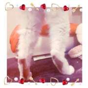 ヒメ日記 2025/06/23 12:21 投稿 桜井　みずき 熟女パラダイス甲府店（カサブランカグループ）