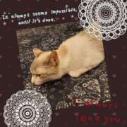 ヒメ日記 2025/06/26 00:13 投稿 桜井　みずき 熟女パラダイス甲府店（カサブランカグループ）