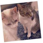 ヒメ日記 2025/07/23 12:25 投稿 桜井　みずき 熟女パラダイス甲府店（カサブランカグループ）