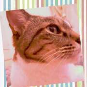 ヒメ日記 2025/08/13 00:35 投稿 桜井　みずき 熟女パラダイス甲府店（カサブランカグループ）