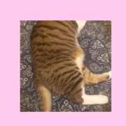 ヒメ日記 2025/08/20 20:29 投稿 桜井　みずき 熟女パラダイス甲府店（カサブランカグループ）