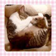 ヒメ日記 2025/08/29 13:11 投稿 桜井　みずき 熟女パラダイス甲府店（カサブランカグループ）