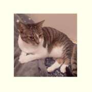 ヒメ日記 2025/09/18 00:31 投稿 桜井　みずき 熟女パラダイス甲府店（カサブランカグループ）