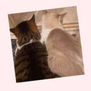 ヒメ日記 2025/09/23 09:21 投稿 桜井　みずき 熟女パラダイス甲府店（カサブランカグループ）