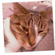 ヒメ日記 2025/09/24 18:09 投稿 桜井　みずき 熟女パラダイス甲府店（カサブランカグループ）