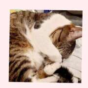 ヒメ日記 2025/10/14 22:53 投稿 桜井　みずき 熟女パラダイス甲府店（カサブランカグループ）