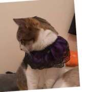 ヒメ日記 2025/10/16 13:43 投稿 桜井　みずき 熟女パラダイス甲府店（カサブランカグループ）