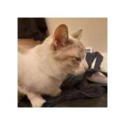 ヒメ日記 2025/10/17 09:29 投稿 桜井　みずき 熟女パラダイス甲府店（カサブランカグループ）