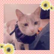 ヒメ日記 2025/10/18 22:23 投稿 桜井　みずき 熟女パラダイス甲府店（カサブランカグループ）