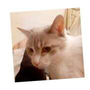 ヒメ日記 2025/10/28 13:13 投稿 桜井　みずき 熟女パラダイス甲府店（カサブランカグループ）