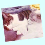 ヒメ日記 2025/11/18 07:23 投稿 桜井　みずき 熟女パラダイス甲府店（カサブランカグループ）