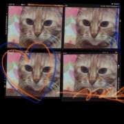 ヒメ日記 2025/12/15 10:49 投稿 桜井　みずき 熟女パラダイス甲府店（カサブランカグループ）