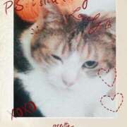 ヒメ日記 2025/12/15 13:59 投稿 桜井　みずき 熟女パラダイス甲府店（カサブランカグループ）