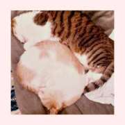 ヒメ日記 2025/12/25 15:39 投稿 桜井　みずき 熟女パラダイス甲府店（カサブランカグループ）