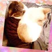 ヒメ日記 2025/12/27 22:37 投稿 桜井　みずき 熟女パラダイス甲府店（カサブランカグループ）