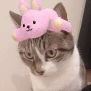 ヒメ日記 2026/01/05 20:11 投稿 桜井　みずき 熟女パラダイス甲府店（カサブランカグループ）