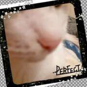 ヒメ日記 2026/01/17 08:43 投稿 桜井　みずき 熟女パラダイス甲府店（カサブランカグループ）