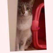 ヒメ日記 2026/01/19 00:45 投稿 桜井　みずき 熟女パラダイス甲府店（カサブランカグループ）