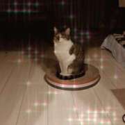 ヒメ日記 2026/02/12 00:45 投稿 桜井　みずき 熟女パラダイス甲府店（カサブランカグループ）