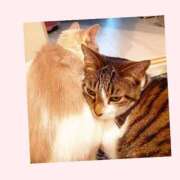 ヒメ日記 2026/02/22 13:27 投稿 桜井　みずき 熟女パラダイス甲府店（カサブランカグループ）