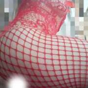 ヒメ日記 2026/02/23 05:47 投稿 桜井　みずき 熟女パラダイス甲府店（カサブランカグループ）