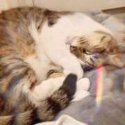 ヒメ日記 2026/02/27 22:17 投稿 桜井　みずき 熟女パラダイス甲府店（カサブランカグループ）