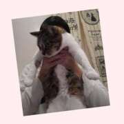 ヒメ日記 2026/03/03 20:13 投稿 桜井　みずき 熟女パラダイス甲府店（カサブランカグループ）