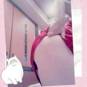 ヒメ日記 2026/07/29 07:31 投稿 桜井　みずき 熟女パラダイス甲府店（カサブランカグループ）