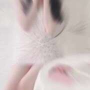 ヒメ日記 2025/06/14 19:02 投稿 蜜乃　あん アムアージュ