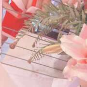 ヒメ日記 2025/12/25 00:17 投稿 ななえ 熟女の風俗最終章 池袋店