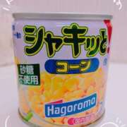 ヒメ日記 2025/05/16 15:18 投稿 要(かなめ) PLUS十三店