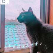 ヒメ日記 2025/05/17 14:58 投稿 要(かなめ) PLUS十三店