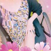 ヒメ日記 2025/06/02 13:48 投稿 要(かなめ) PLUS十三店