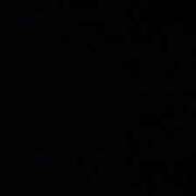 ヒメ日記 2025/06/13 10:59 投稿 要(かなめ) PLUS十三店