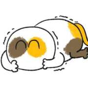 ヒメ日記 2025/06/21 20:28 投稿 要(かなめ) PLUS十三店