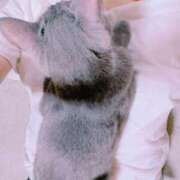 ヒメ日記 2025/06/28 23:04 投稿 要(かなめ) PLUS十三店