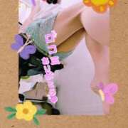 ヒメ日記 2025/07/15 18:38 投稿 要(かなめ) PLUS十三店