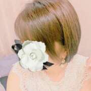 ヒメ日記 2025/08/08 14:08 投稿 要(かなめ) PLUS十三店