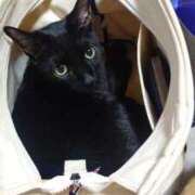 ヒメ日記 2026/01/19 12:19 投稿 要(かなめ) PLUS十三店