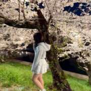 ヒメ日記 2025/05/13 13:42 投稿 菜乃/なの　centu STYLISH BACH