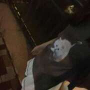 ヒメ日記 2025/06/20 21:02 投稿 菜乃/なの　centu STYLISH BACH