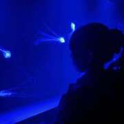 ヒメ日記 2025/11/09 09:22 投稿 菜乃/なの　centu STYLISH BACH